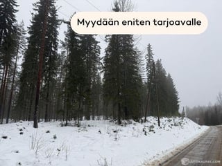 metsä muokattu-1